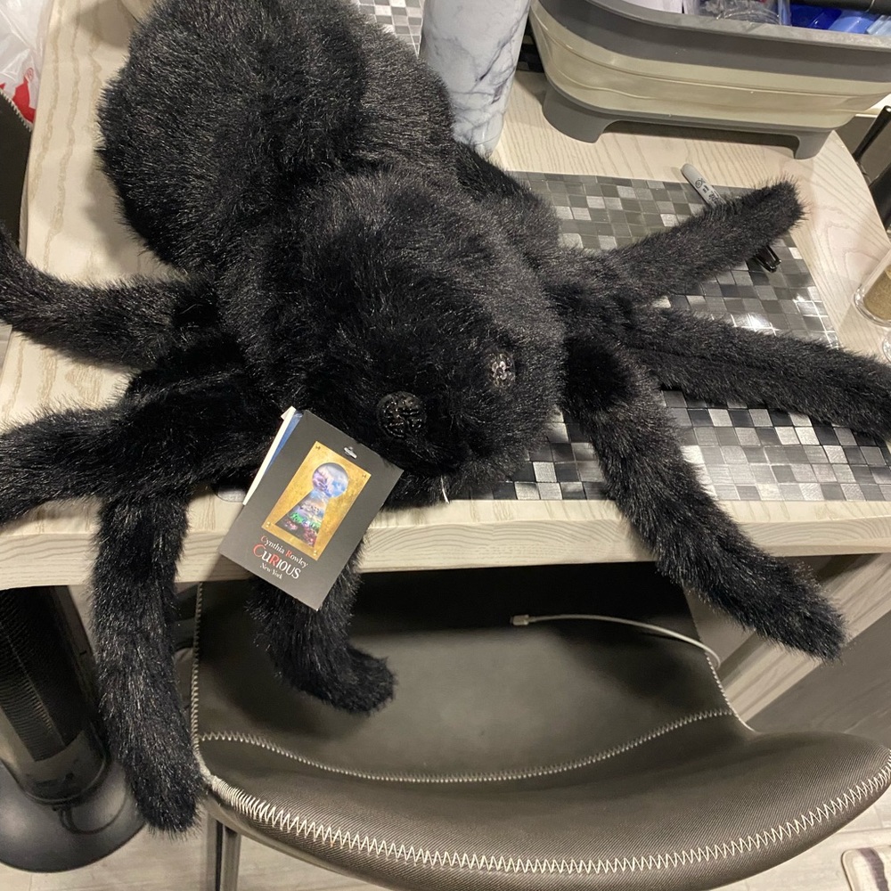 Fuzzy spider pillow